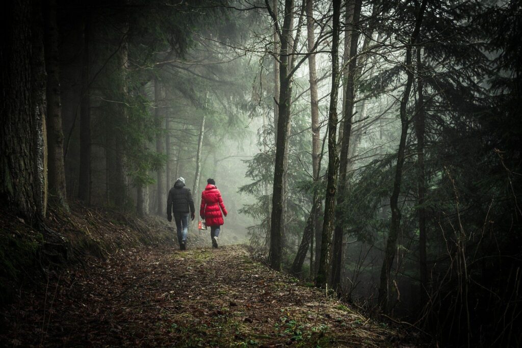 couple qui marchent dans la forêt